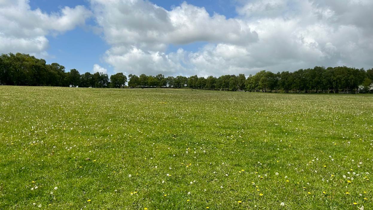 31 acres permanent grassland to let bickerton